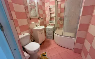 Apartament 3 Camere | Palas Mall | Podu Ros - Poză 20