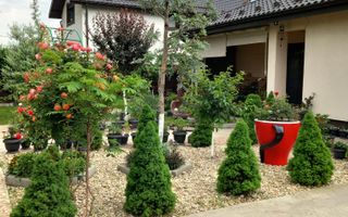 Parter cu structură pentru etaj, curte amenajată și organizare impeca - Poză 19