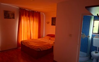 BRASADAS vinde casa individuala 9 cam in Bercu Rosu. - Poză 12