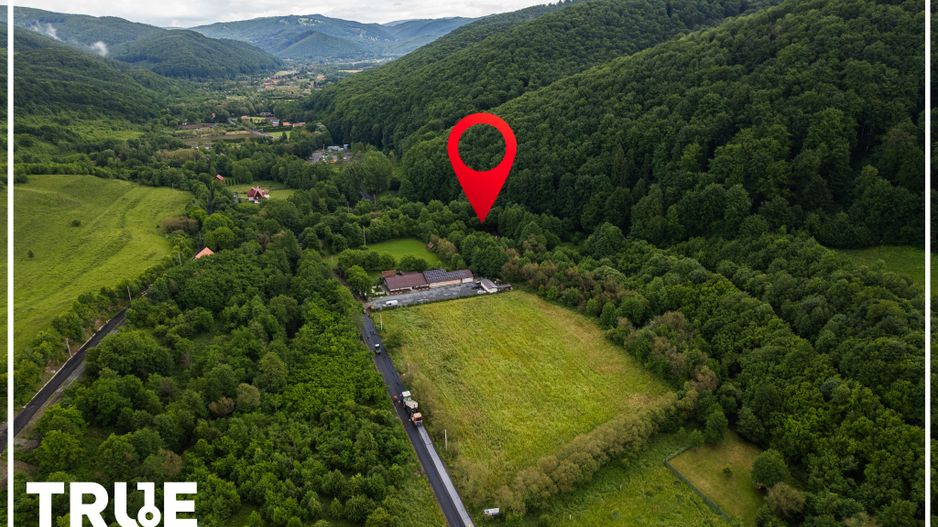 Teren intravilan 2.800 m² în Câmpu Cetății – liniște și natură - Poză 14