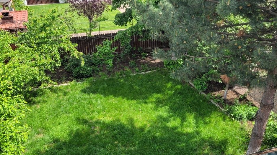 Vilă spațioasă S+P+1E+M | Chitila | Str. 8 Martie - Poză 20