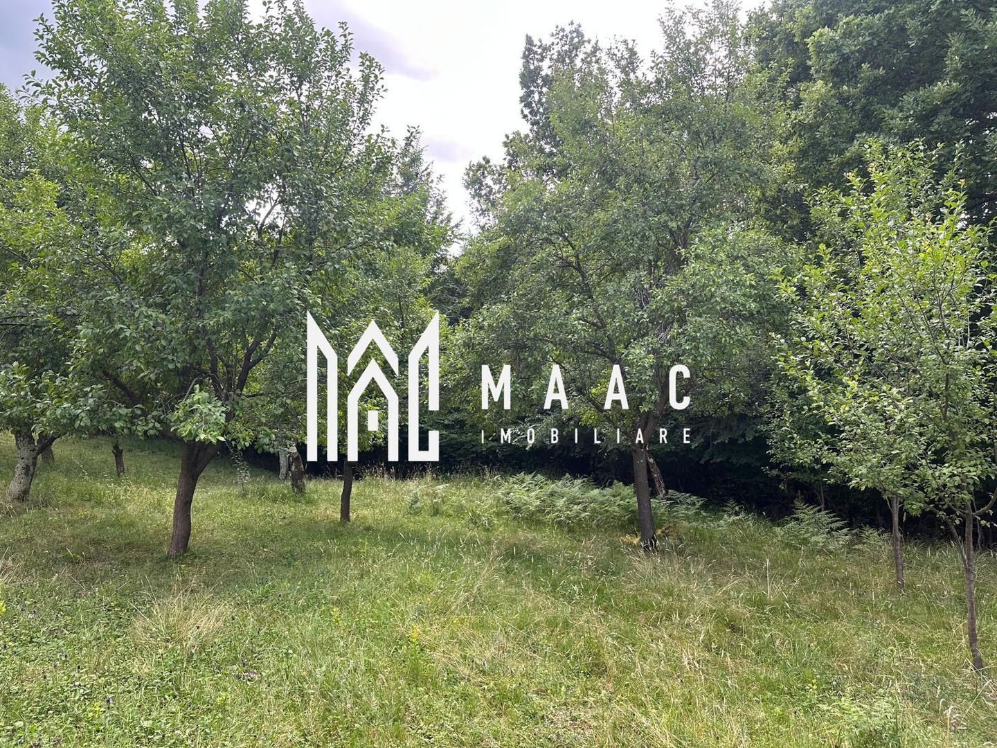 Teren extravilan 2000 mp | Rășinari | livadă, lângă Cisnădioara - Poză 2