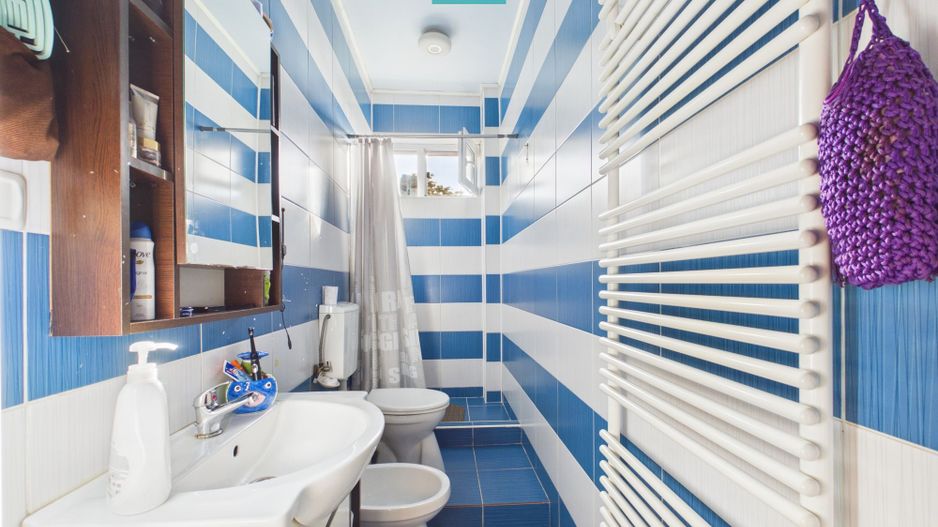 Apartament cu garaj și grădina proprie - Lipova - Poză 5