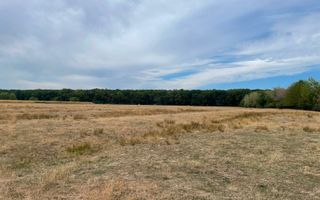 Teren extravilan de vânzare | Sibiu, Versailles | 1.540 mp - Poză 2