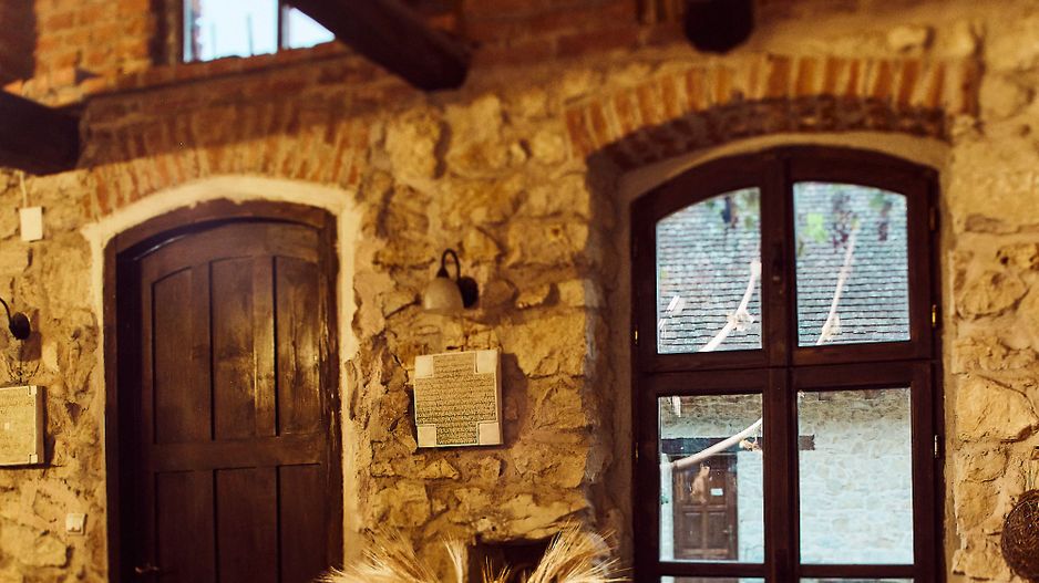 CASA THEA | INVESTIȚIE ÎN TURISM, GASTRONOMIE ȘI EXPERIENȚE | SOCOLARI - Poză 20