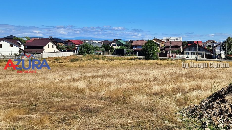 AZURA Imobiliare - Oportunitate rară de investiție în Bradu - Poză 3