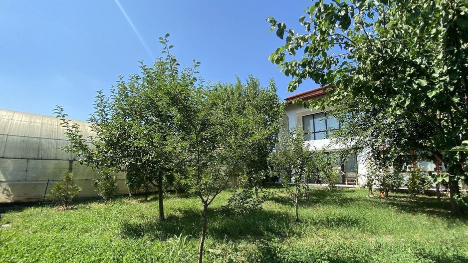 Vilă cu 6 camere de închiriat | Snagov - Vlădiceasca | Pet Friendly - Poză 16