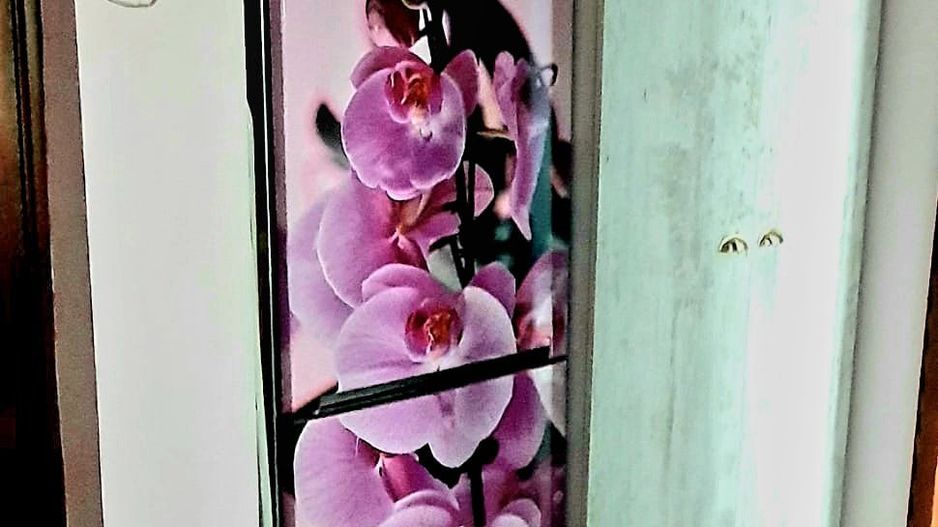 Apartament 2 camere,  de vânzare/închiriere, Studio - Buftea - Poză 2