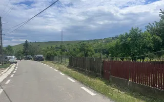 Între dealuri, viță de vie și liniște deplină! Vanzare casa in Prahova - Poză 34