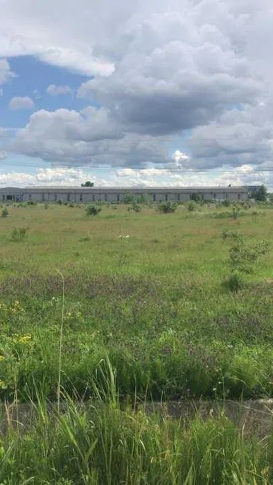 Teren industrial 34.000mp Autostrada Bucuresti -Pitesti km 85 - Poză 3