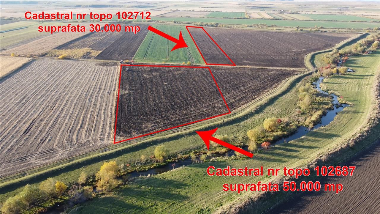 Halchiu Brasov, 80.000 mp teren extravilan - agricol - Poză 1