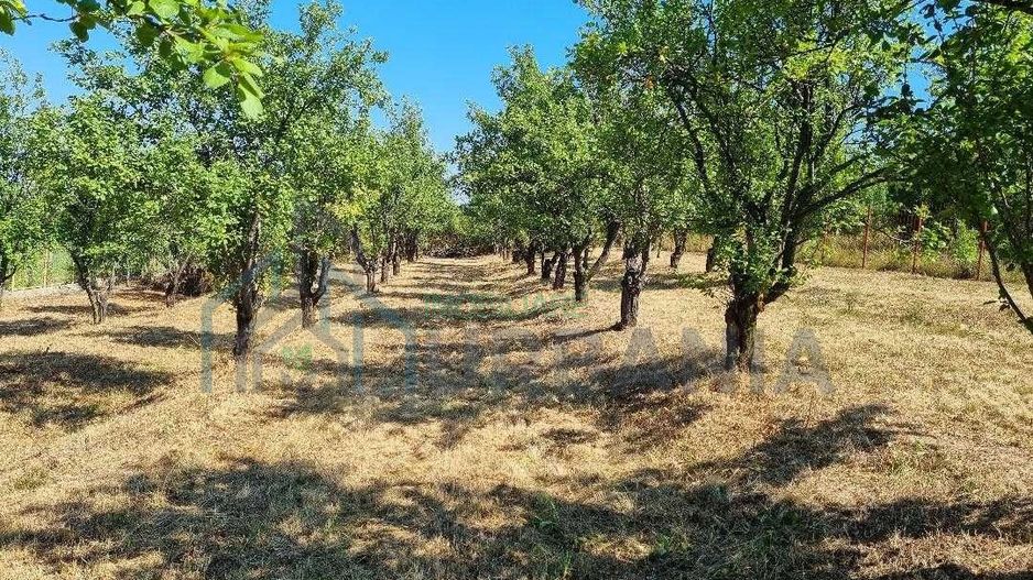 1600 mp teren in Barnova sat Pietrarie pe deal deasupra Primariei. - Poză 1