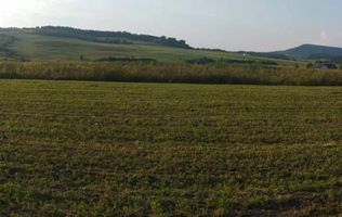 Teren 5500 mp-oportunitate investitie-pretabil cabana-Jelna