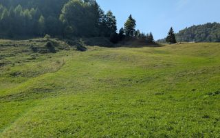 Oportunitate!Teren intravilan 61.38400mp-Parcelabil-utilitati-Colibita - Poză 2