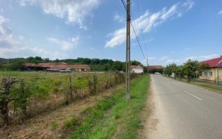 Teren Zgribesti numai 5 euro/mp - Poză 3