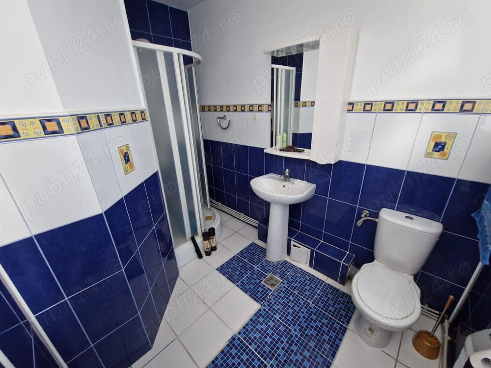 Persoana fizica vand vila zona Bucium - Poză 5