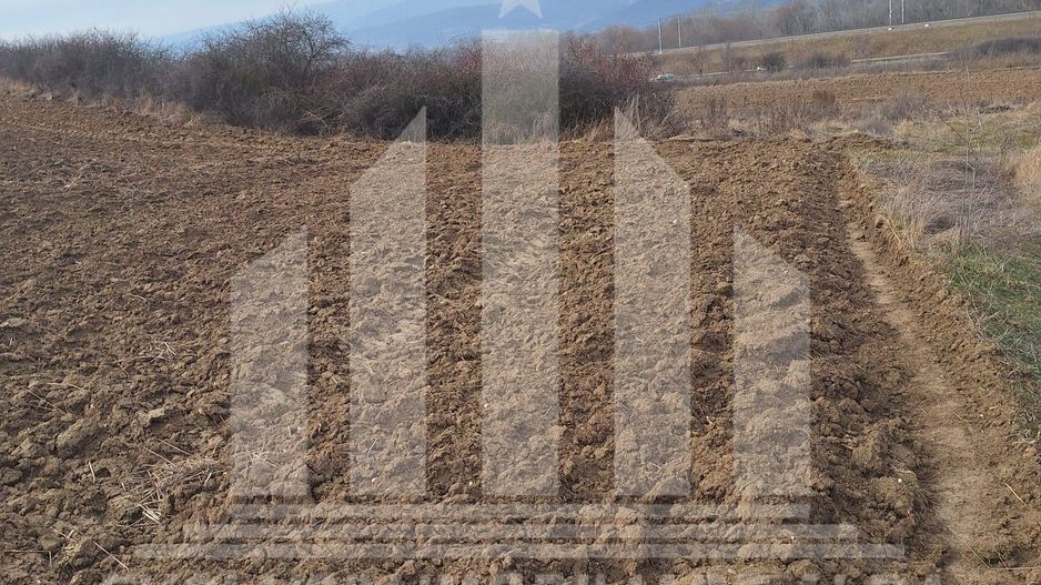 Teren agricol de vanzare, Salistea - Poză 3