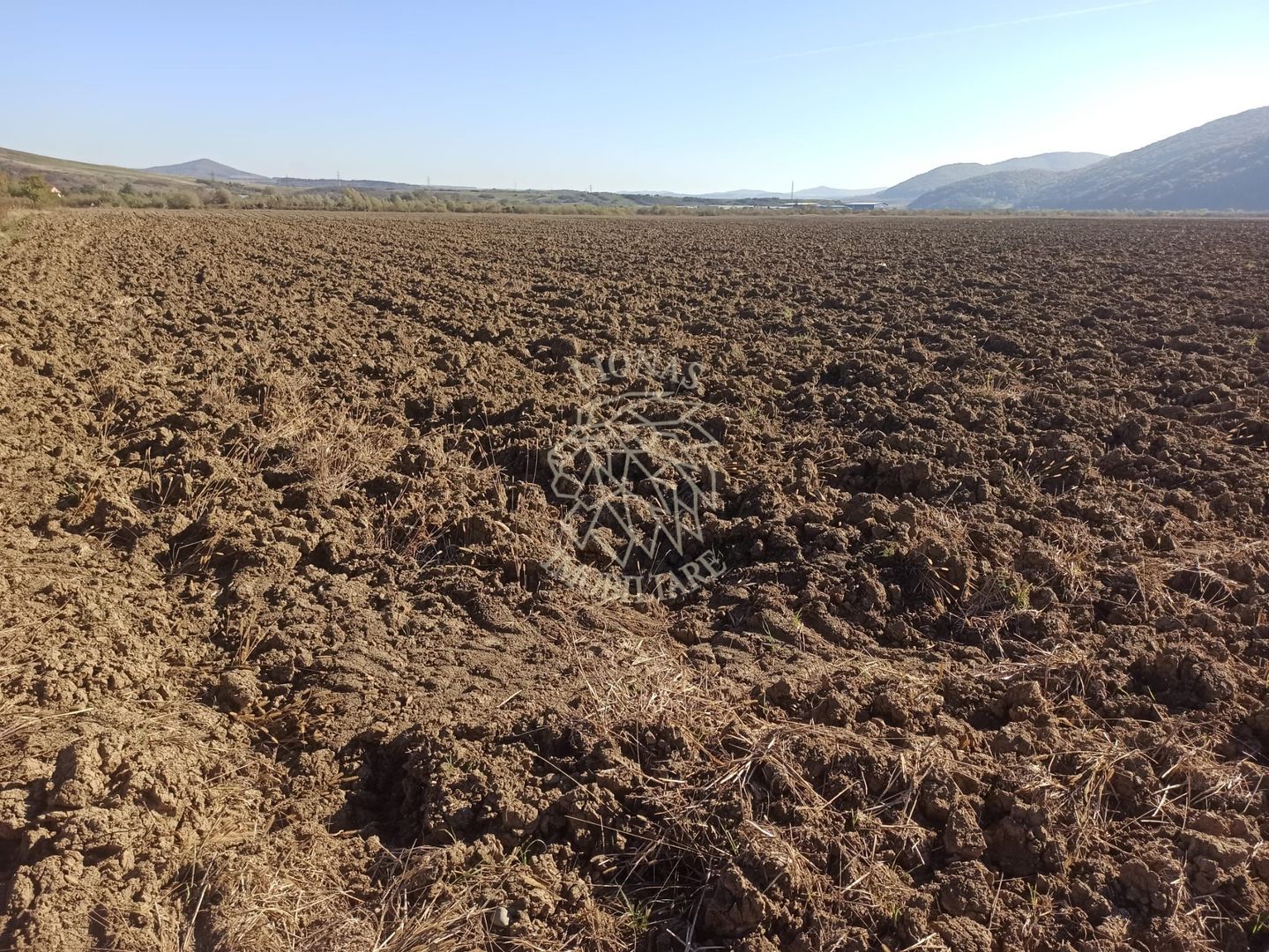 Teren 7500 mp-ideal agricultura, invetitie-Sarata - Poză 1