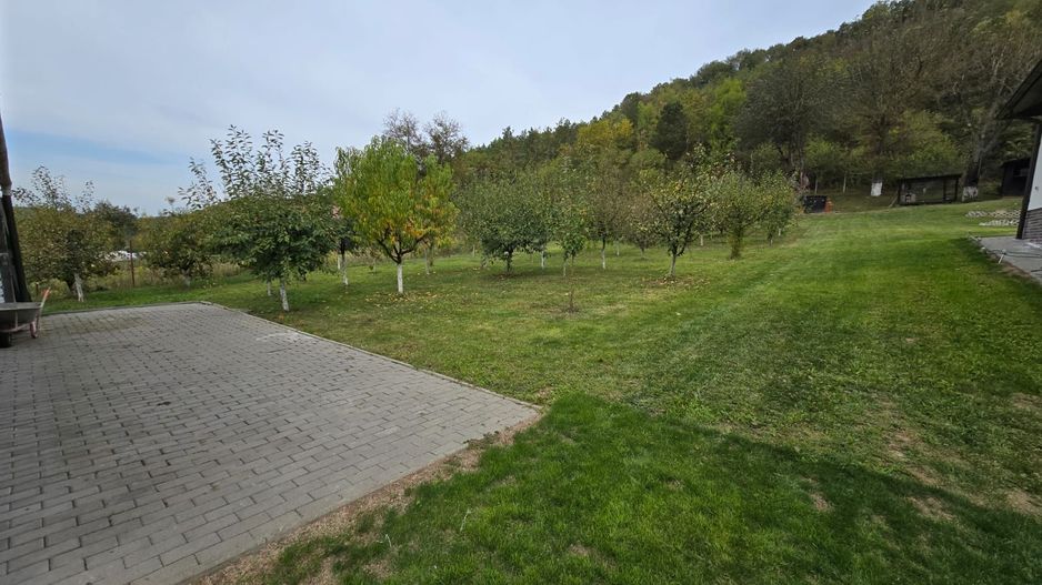 Casa 6 camere,300 mp,2500mp teren, Valea Iubirii,0% comision - Poză 14