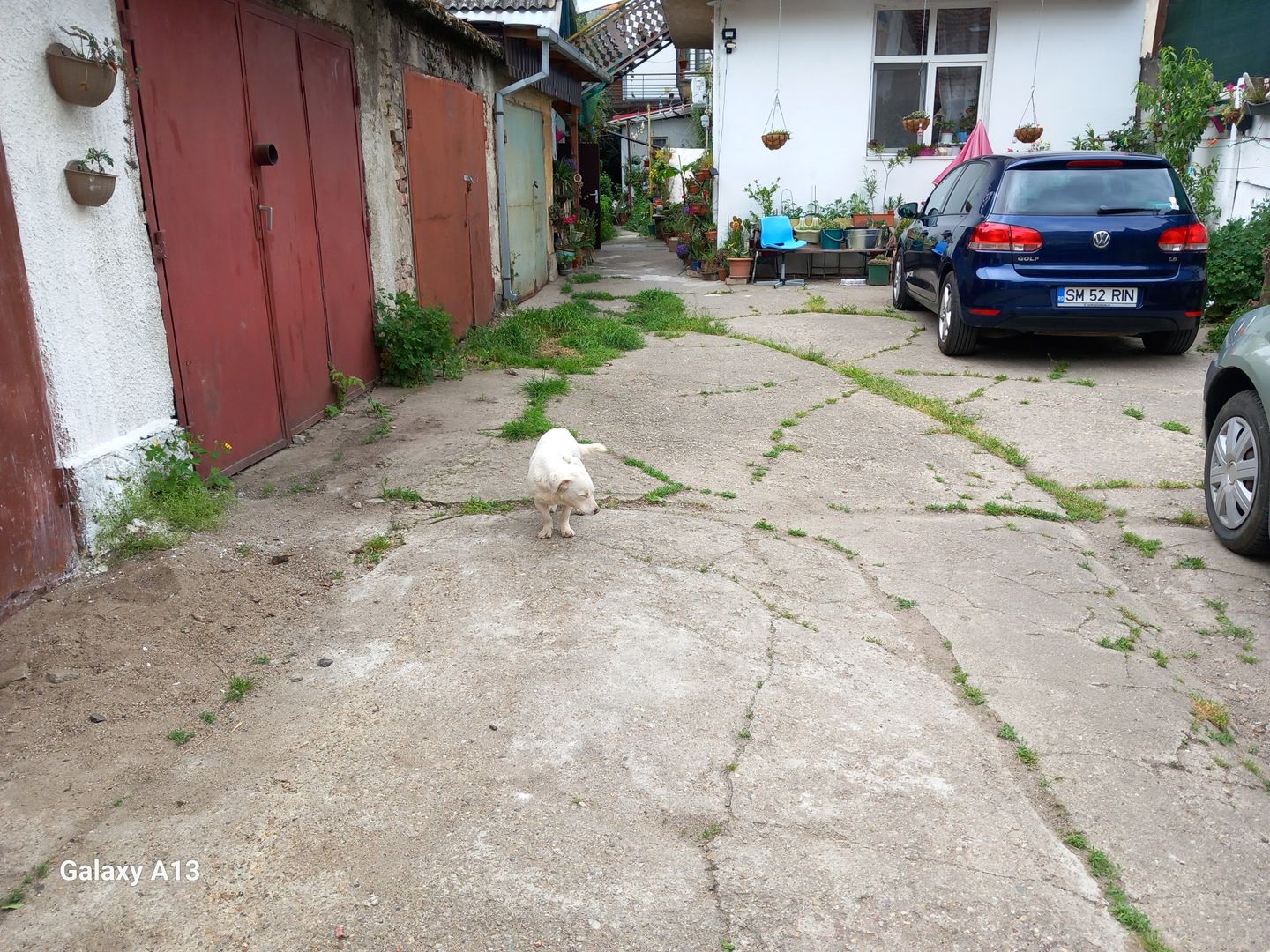 brasadas.com vinde casa 3 cam 135mp zona ULTRACENTRALA. - Poză 2