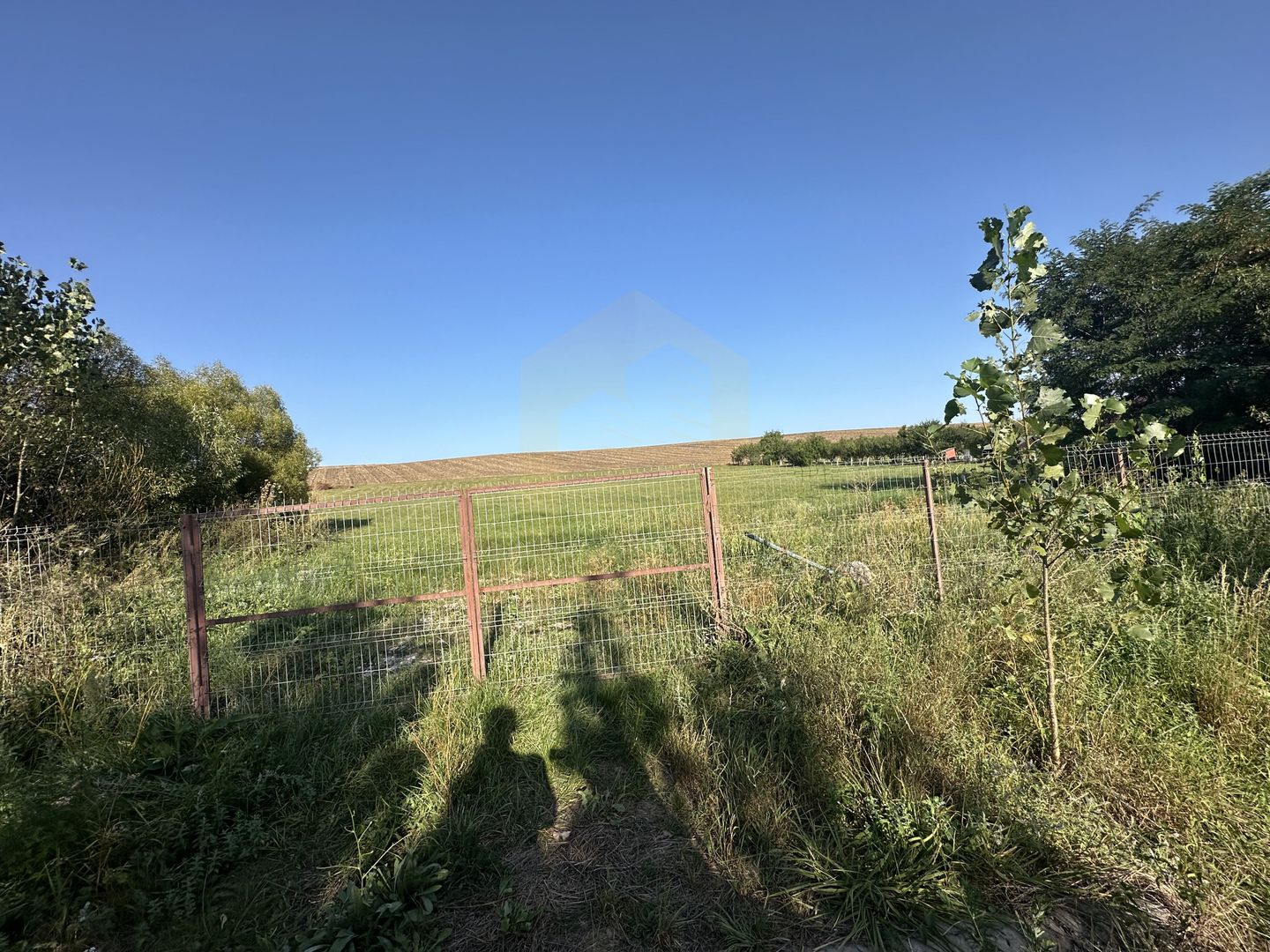 Vanzare teren 2936 mp, zona strada Dealu Fanatelor - Poză 3