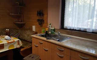 Inchiriez apartament cu 1 camera 50 mp Tatarasi - Poză 5