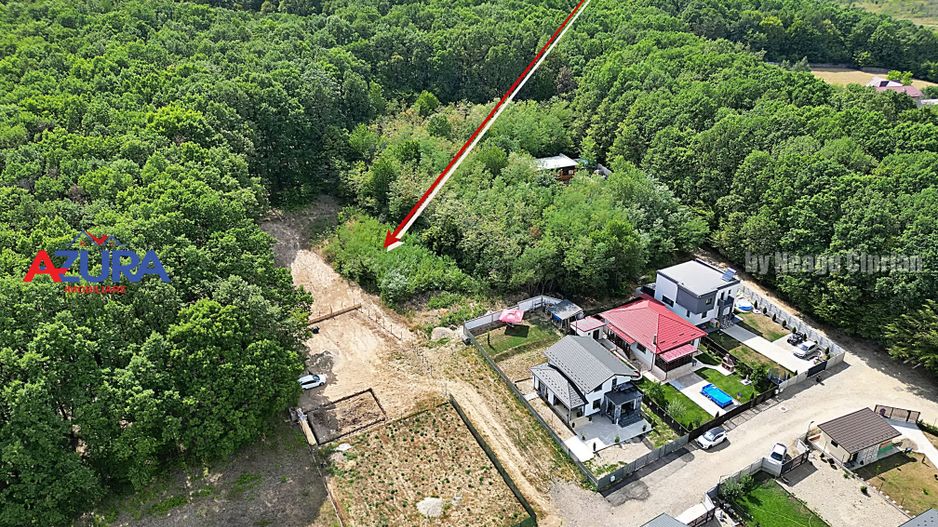 AZURA Imobiliare - Vanzare teren Hintesti, langa padure, 300m din DN - Poză 4