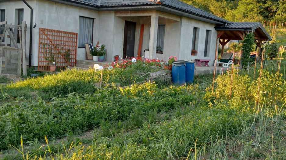 De vânzare casă în localitatea Cerghid - Poză 1