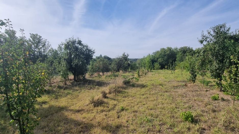 Teren 2000 mp de vânzare – Comana, deschidere la lac, aproape de Parcu - Poză 6