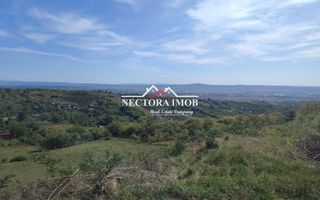 NECTORA IMOB-Teren Saldabagiu de Munte, 2350 mp, 21 ml front stradal - Poză 3