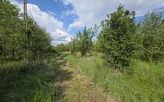 De Vânzare Casă Valea Vinului - Poză 14