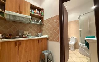2 camere vilă Grădina Icoanei | Renovat - Poză 7