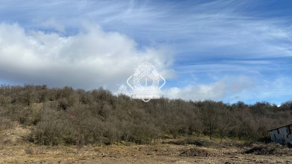 Teren de vânzare – DN72A, Dragomirești | 3.500 mp | deschidere la drum național - Poză 2