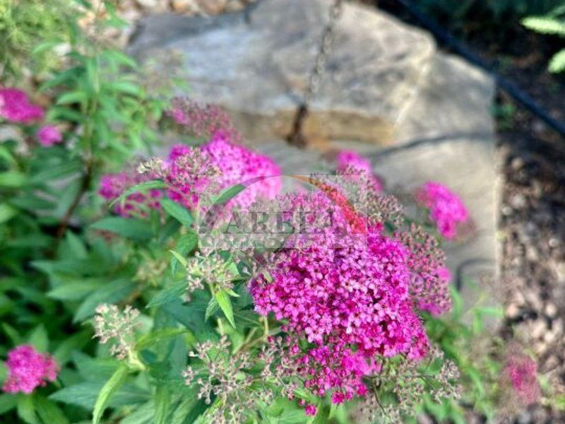 Vila lux de vanzare in cel mai dorit complex din Erou Iancu Nicolae-locatie rara - Poză 41