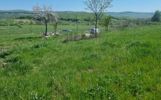 Teren de 1000 mp în Comuna Ciurea, Iași – Oportunitate de Investiție - Poză 2