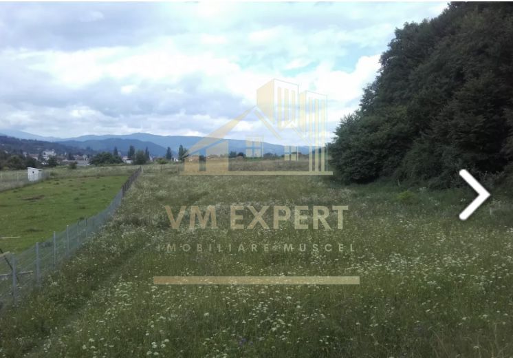 TEREM INTRAVILAN 2974 MP CAMPULUNG - Poză 1