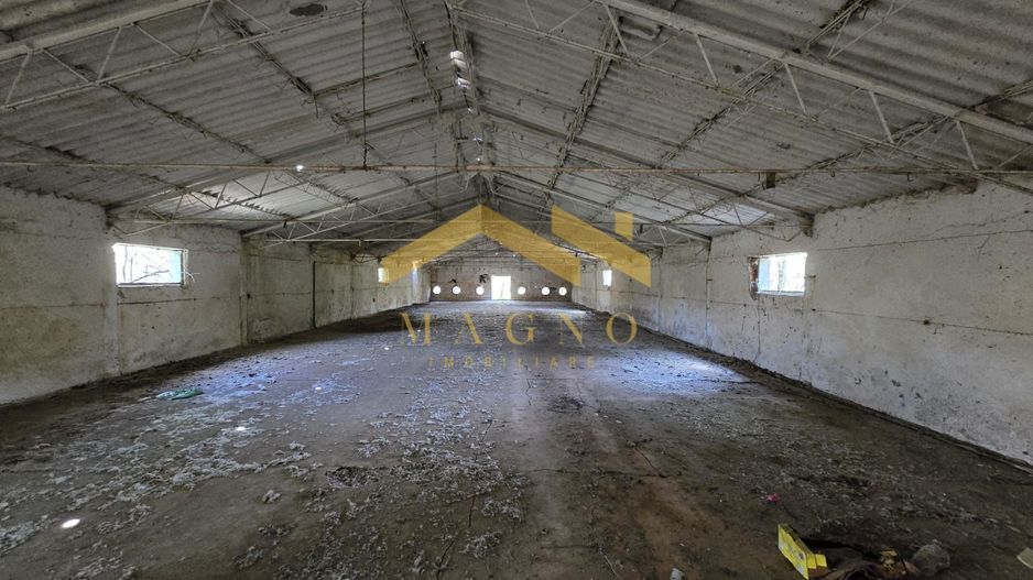 Hale industriale de vânzare – Arad, zona Exterior Vest / Calea Bodrog - Poză 6