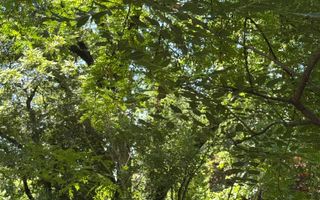 Investitie 2 Camere Intrare Parcul Circului - Poză 7