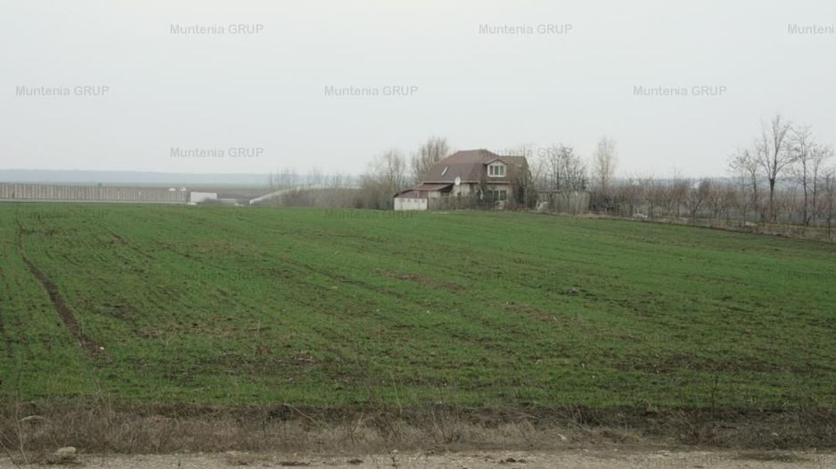 Moara Vlasiei, 5100 mp. teren intravilan, langa A3, toate utilitatile - Poză 6