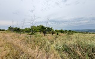40 Ari Teren Agricol Ialoveni - Poză 4