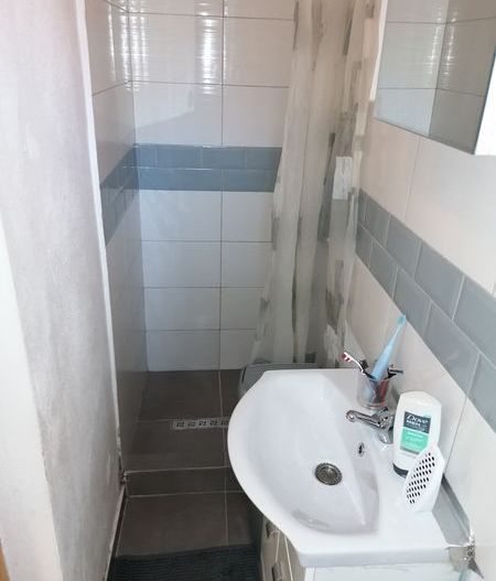 Apartament 1 camera  zona Iosefin la curte - Poză 5