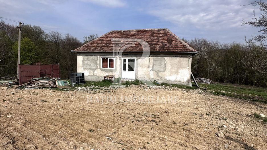 Casa cu livada | teren 2800 mp | Stracos | Bihor - Poză 8