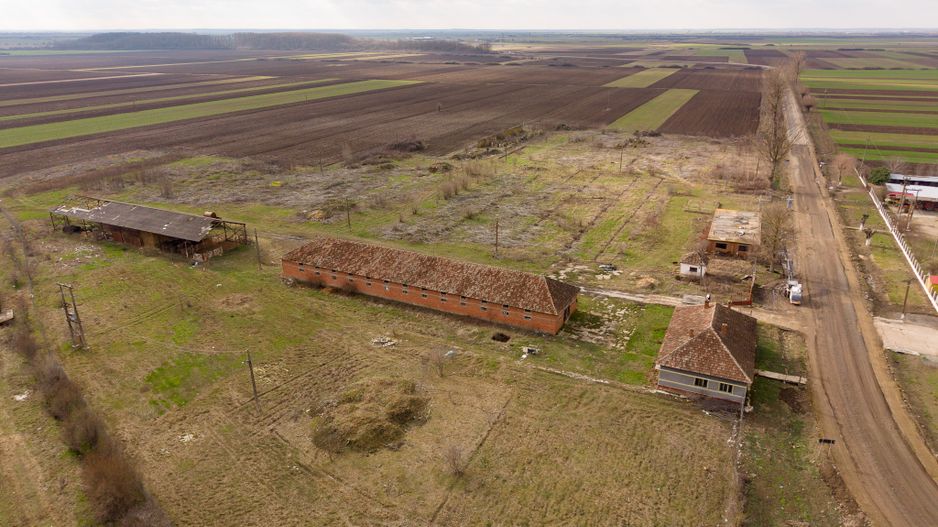 Fermă cu teren intravilan de 35000 mp în Mișca - Poză 15