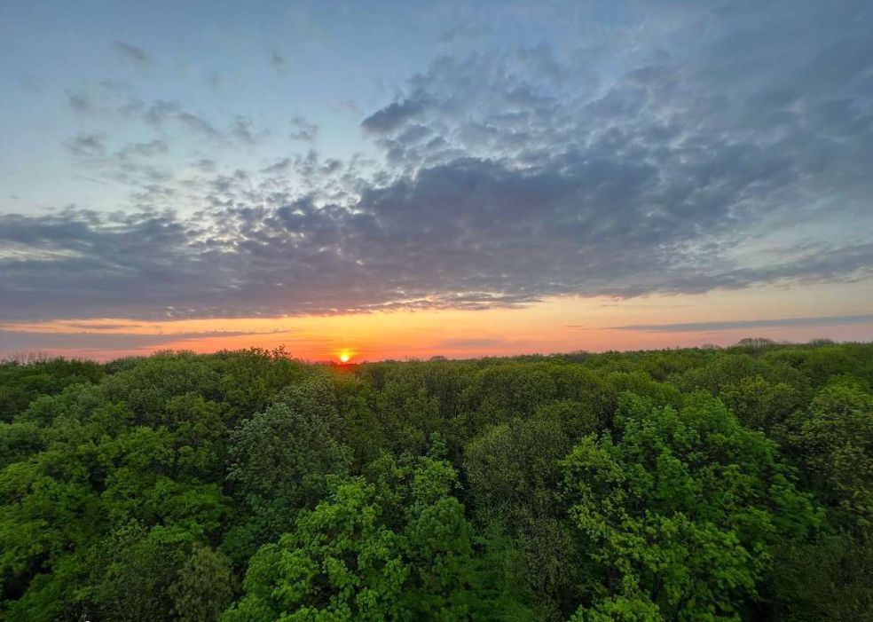 2 camere | Greenfield | Baneasa | Pipera | parcare inclusa - Poză 19