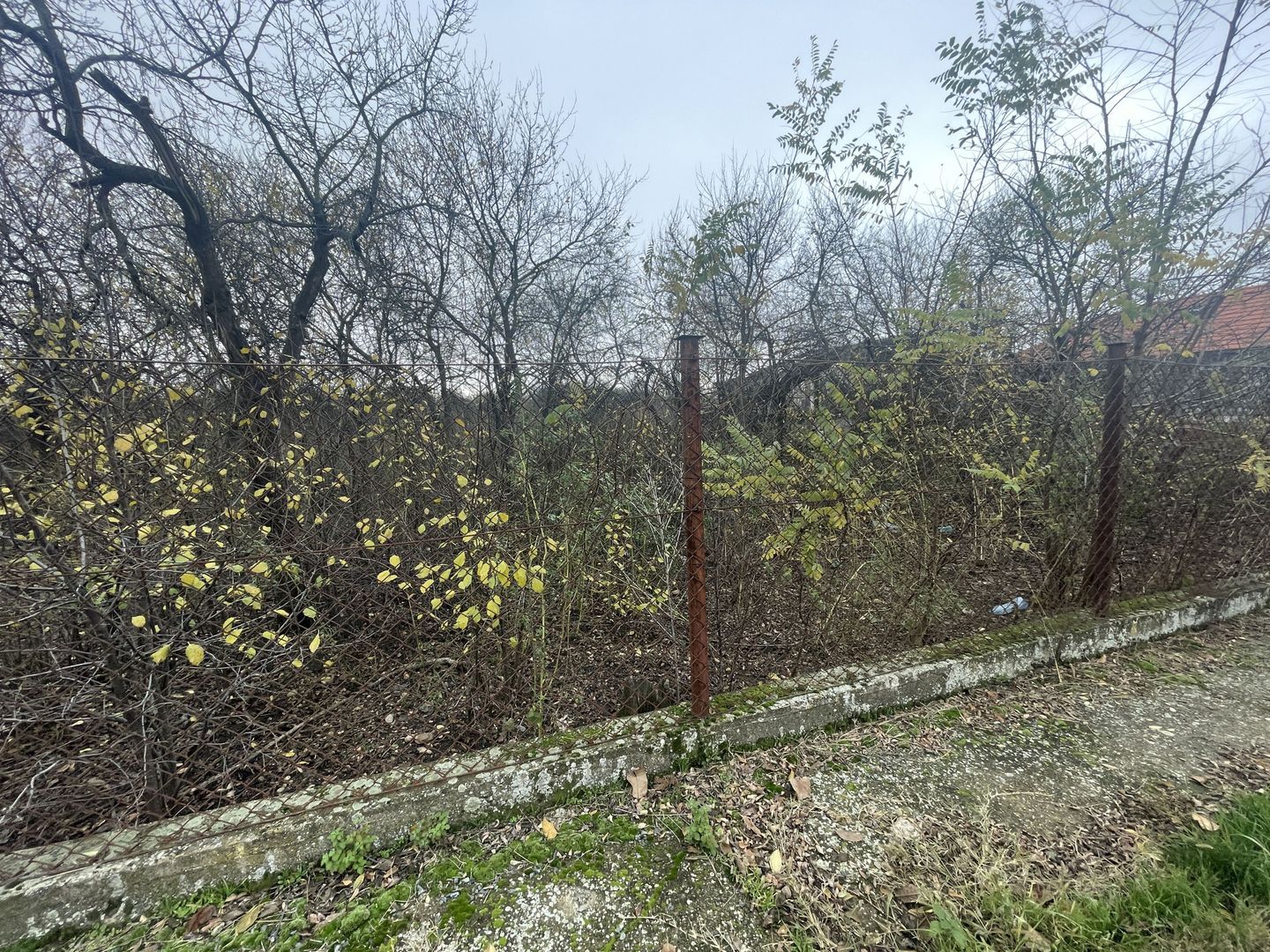 Teren in suprafata de 2165 mp cu front de 30 ml - Poză 6