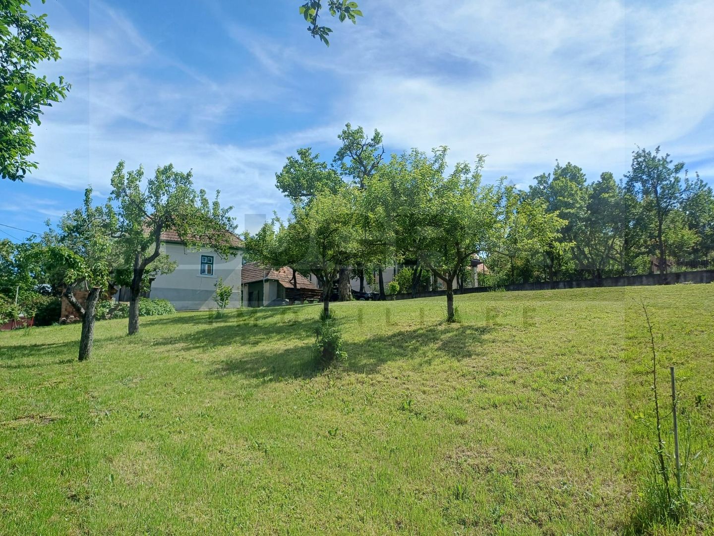 Teren 1317 mp, casa 40mp utili, utilitati, Sat Gheorghieni - Poză 11