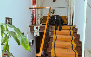 Casa individuală | Strada Plantelor | Curte proprie - Poză 8