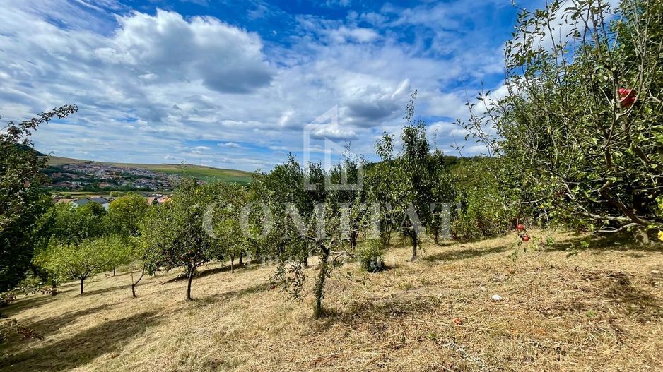 Casă individuală cu teren generos și panoramă Chinteni - Poză 21