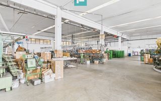 Hală de producție, cu birouri și teren, în Sebiș - Poză 17