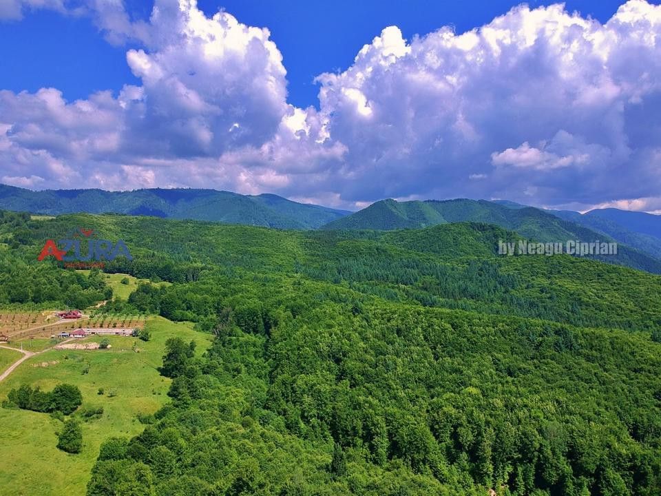 AZURA Imobiliare Pitesti - Casă de vacanță, Nucșoara! - Poză 25